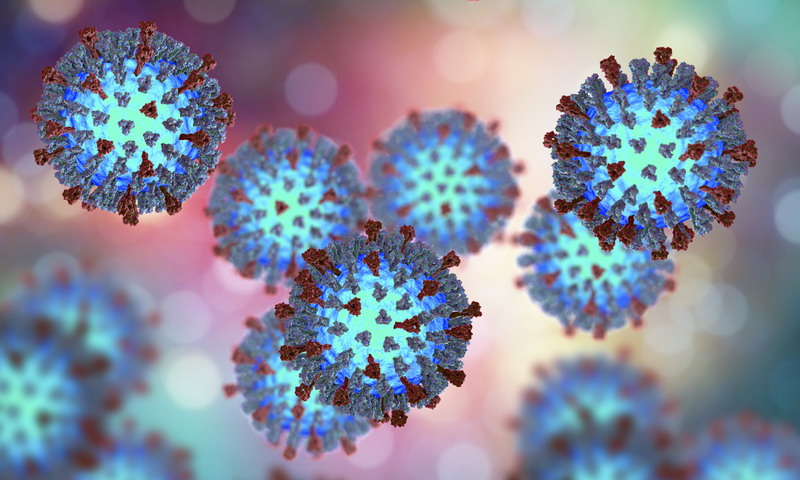 Measles Virus Paves the Way for Better Stem Cell Treatments